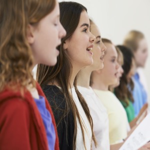 Gesangstechnische Entwicklung